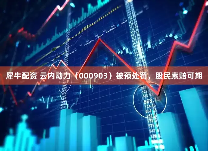 犀牛配资 云内动力（000903）被预处罚，股民索赔可期