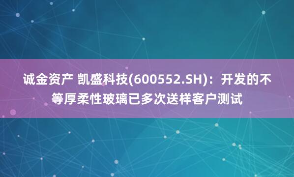 诚金资产 凯盛科技(600552.SH)：开发的不等厚柔性玻璃已多次送样客户测试